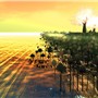 OceanFlowers2