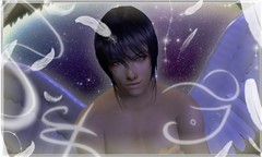 Vision of Escaflowne