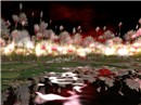 OceanFlowers3