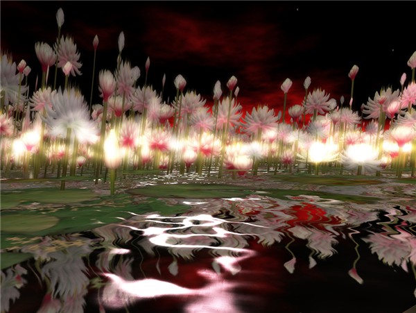 OceanFlowers3