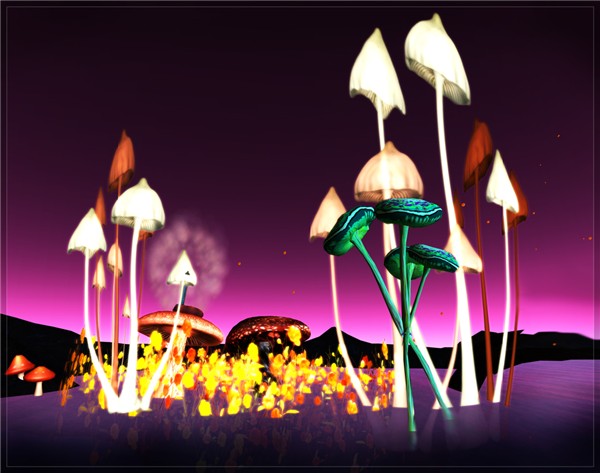 fungi