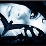 butterfly fairy2