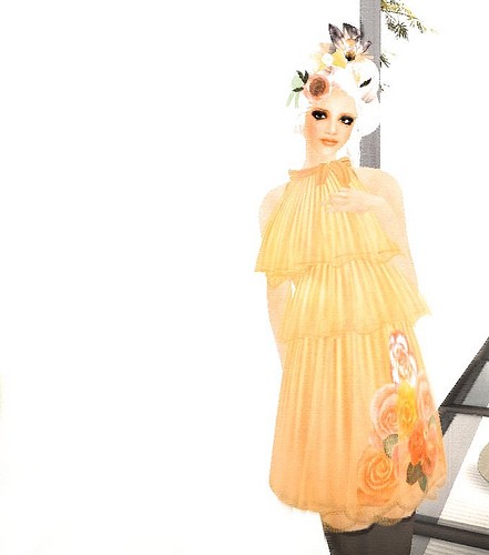 orangephotocontest