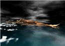 NightSwimming