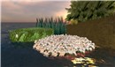 New Water Plants
