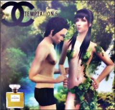 Chanel Temptation