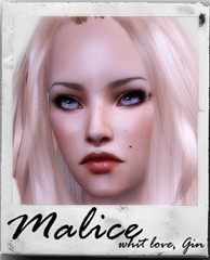 Polaroid_malice