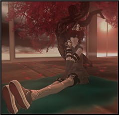 6-12 Blog