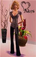 akes3