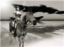 Blissed Out