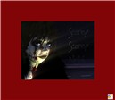 Scarey Scarey Night