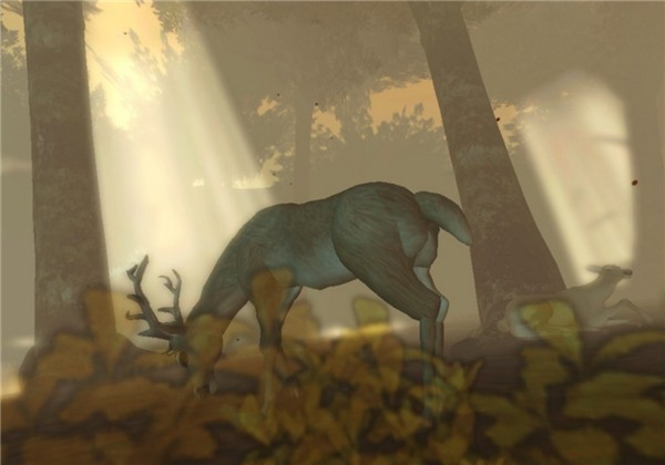 Deer_018