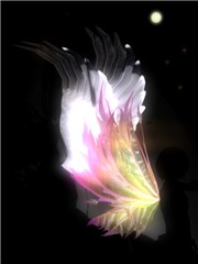 feathers and leaves