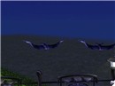 bats