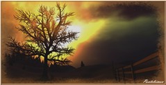 DUSK