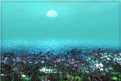lilies in moonlight 2