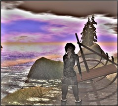 traveler15