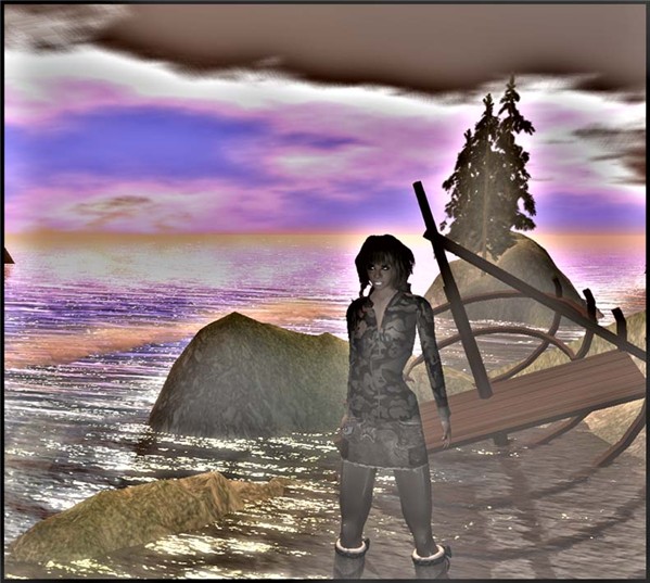 traveler15
