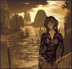 traveler13