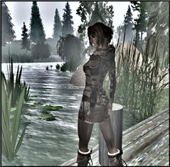 traveler12
