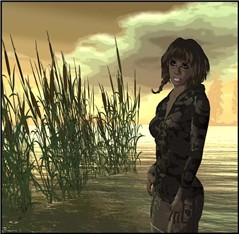 traveler10