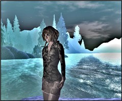 traveler8