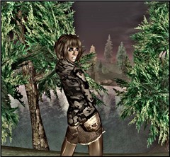 traveler7