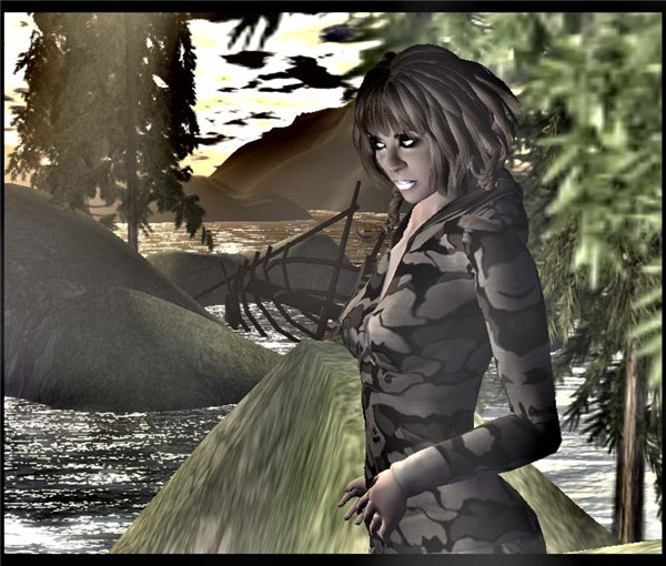 traveler4