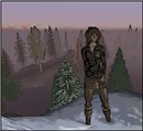 traveler3