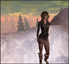 traveler2
