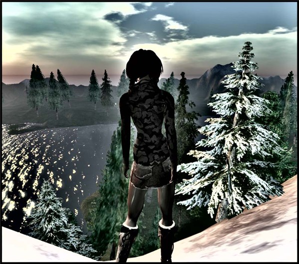 traveler1