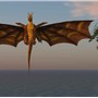 Dragons! - Koinup Burt