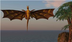 Dragons! - Koinup Burt