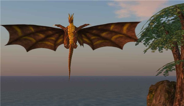 Dragons! - Koinup Burt