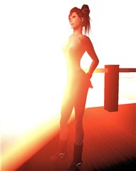 In the Light