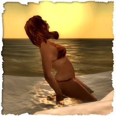 contest 3