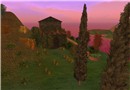 Tuscany IV
