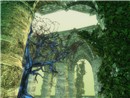 Sanctum