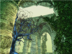 Sanctum