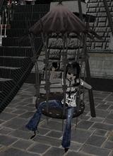 in the cage