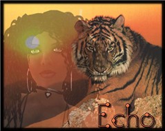 Tiger Sunset1