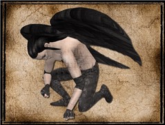 Fallen Angel