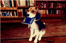 Read Me This Story