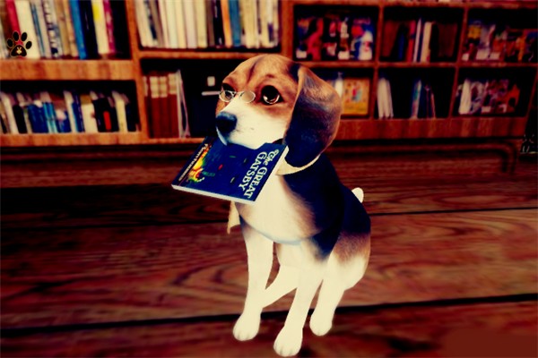 Read Me This Story