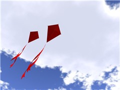 Kites (3)