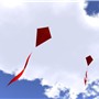 Kites (5)