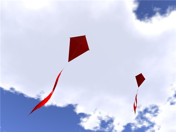 Kites (5)