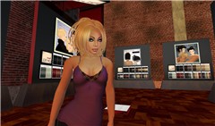 Shopping - Simone Schama