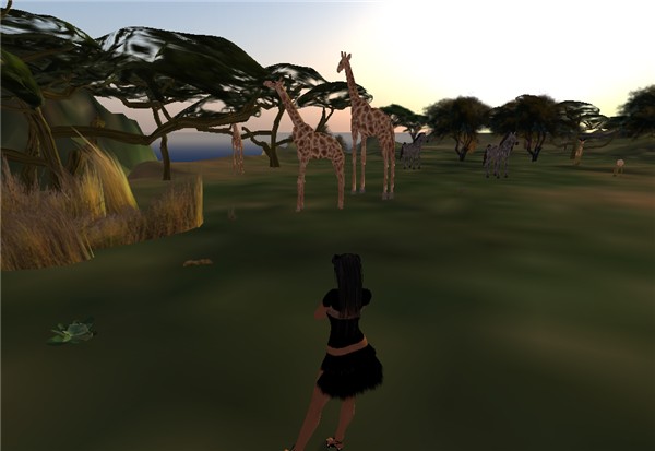 Giraff