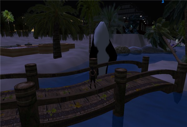 whale